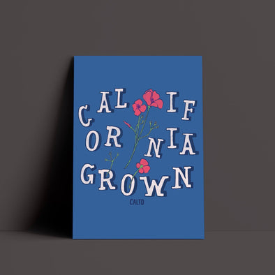CA Grown Poppies Blue Poster-CA LIMITED