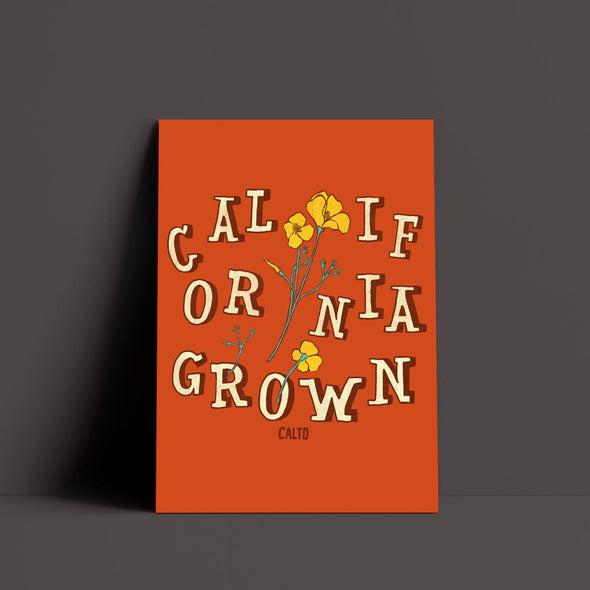 CA Grown Poppies Orange Poster-CA LIMITED