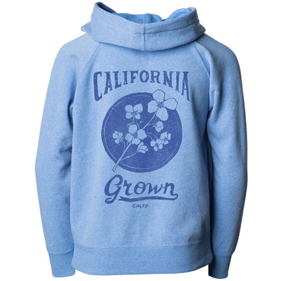 California Grown Circle Raglan Toddlers Zip Up Hoodie-CA LIMITED