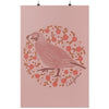 Poppy Quail Pink Poster-CA LIMITED