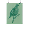 Quail Summer Green Poster-CA LIMITED