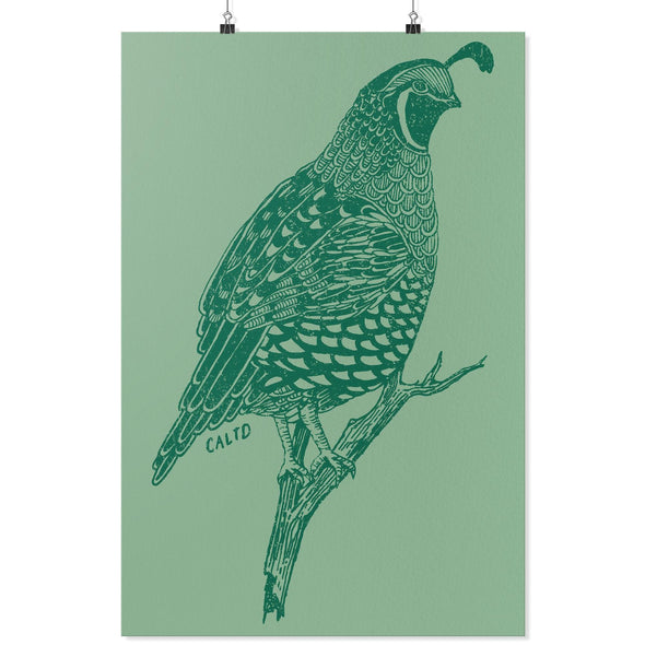 Quail Summer Green Poster-CA LIMITED
